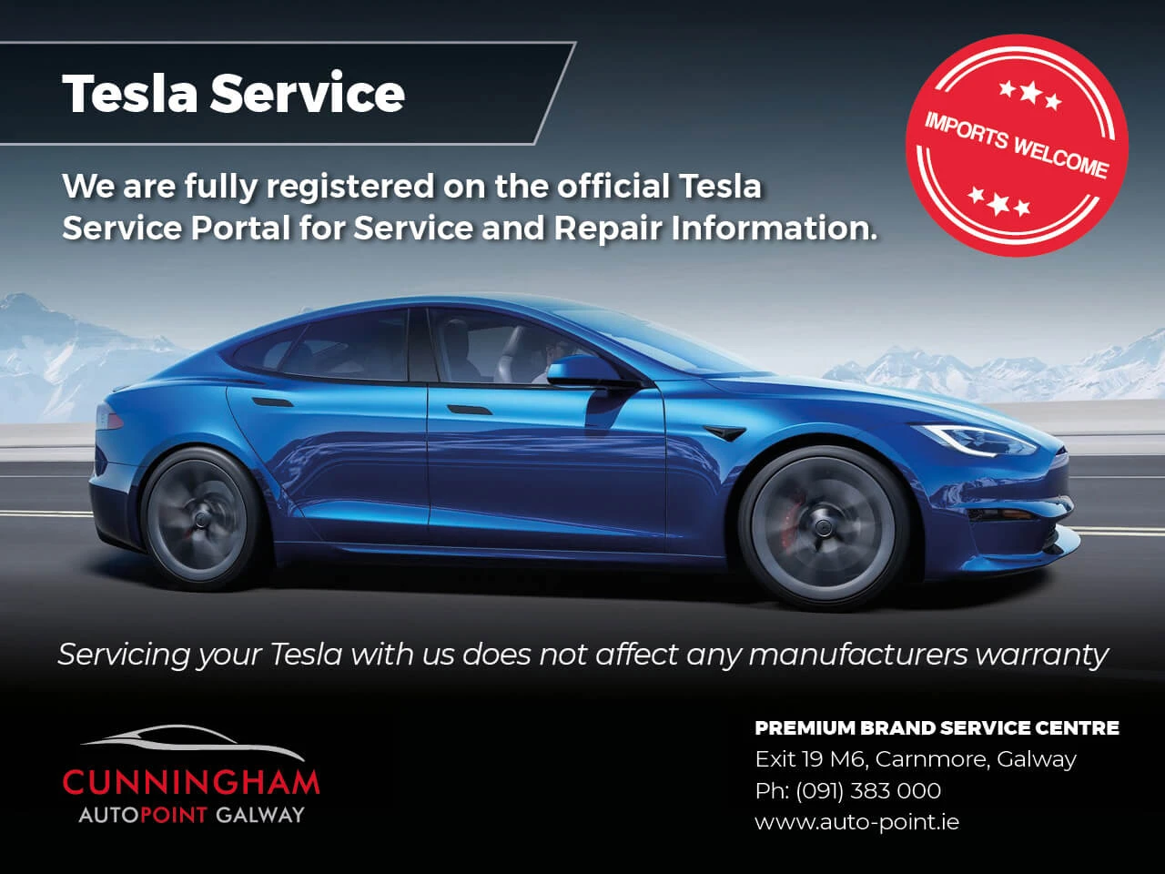 Tesla Service